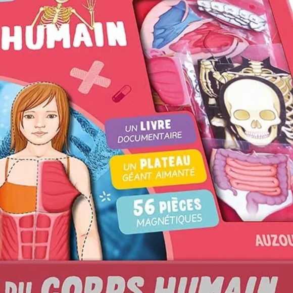Red and Blue Human Anatomy Learning Toy Set - Picture 3 of 3